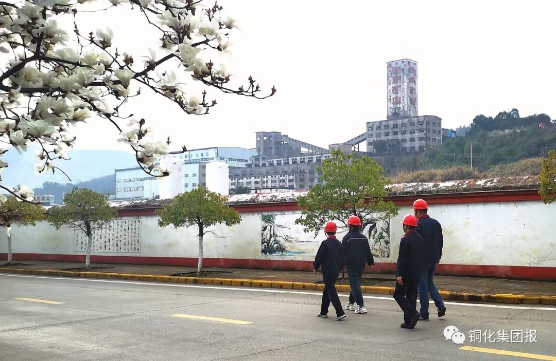 122cc太阳集成游戏(中国)有限公司官网