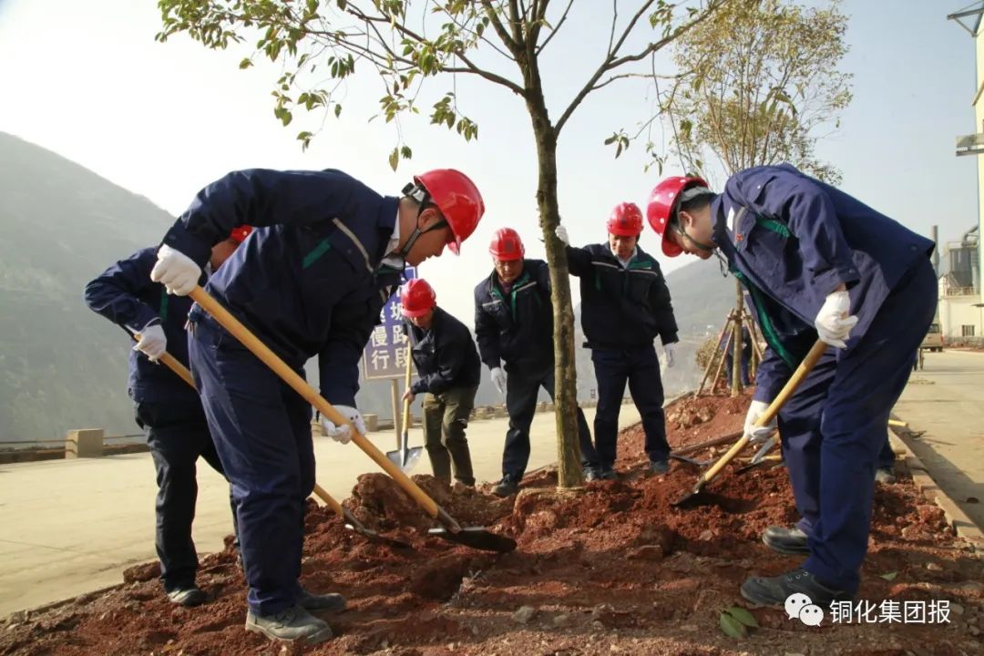 122cc太阳集成游戏(中国)有限公司官网