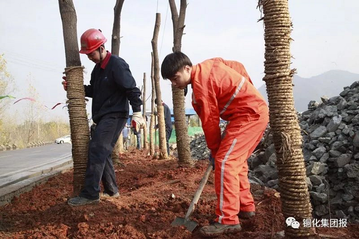 122cc太阳集成游戏(中国)有限公司官网